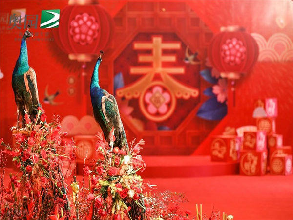 企業(yè)年會(huì)活動(dòng)策劃詳細(xì)流程參考，經(jīng)驗(yàn)分享篇!